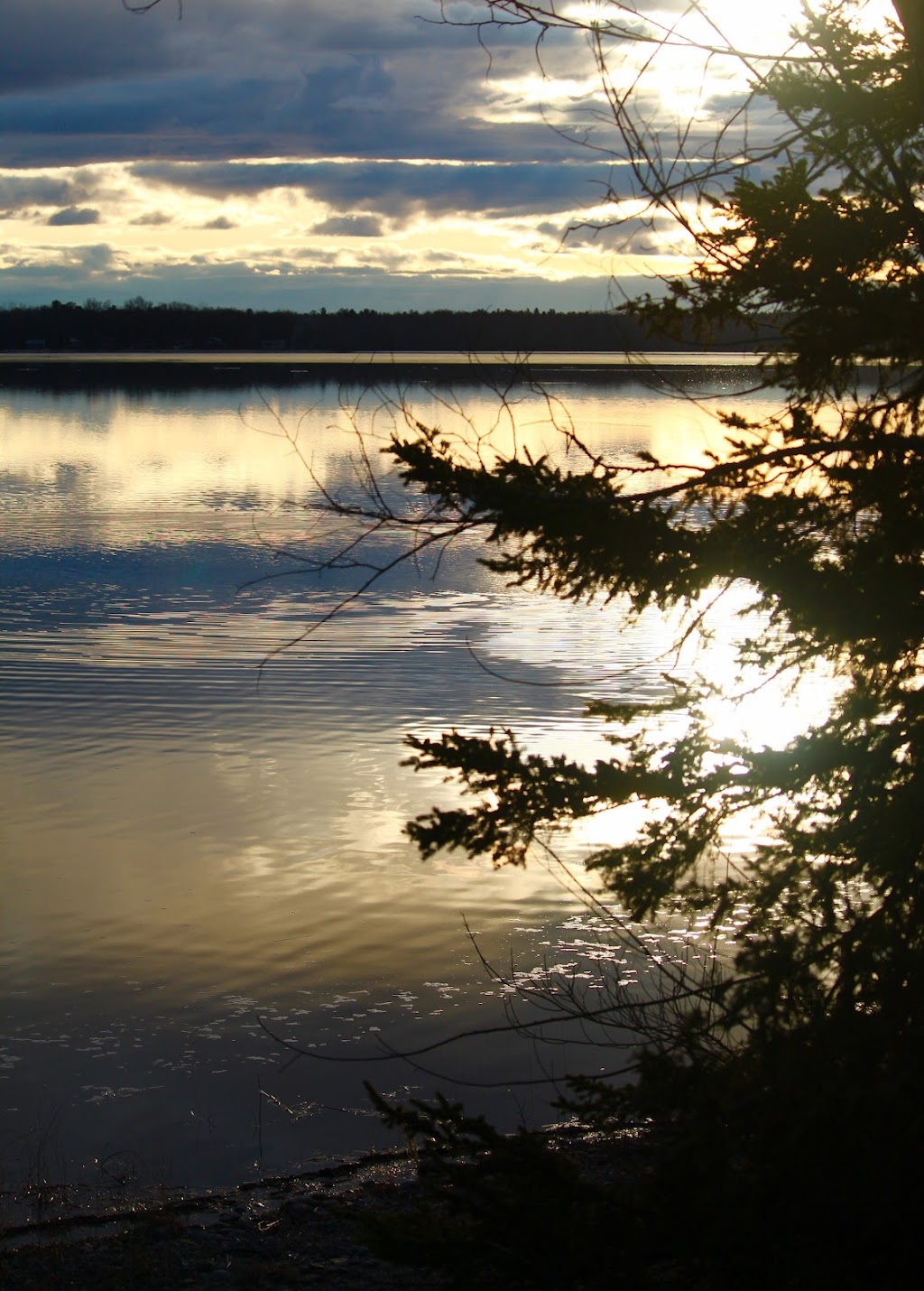 One Acre and a Mule | 205 Rapid Rd, Westmeath, ON K0J 2L0, Canada | Phone: (613) 587-4721