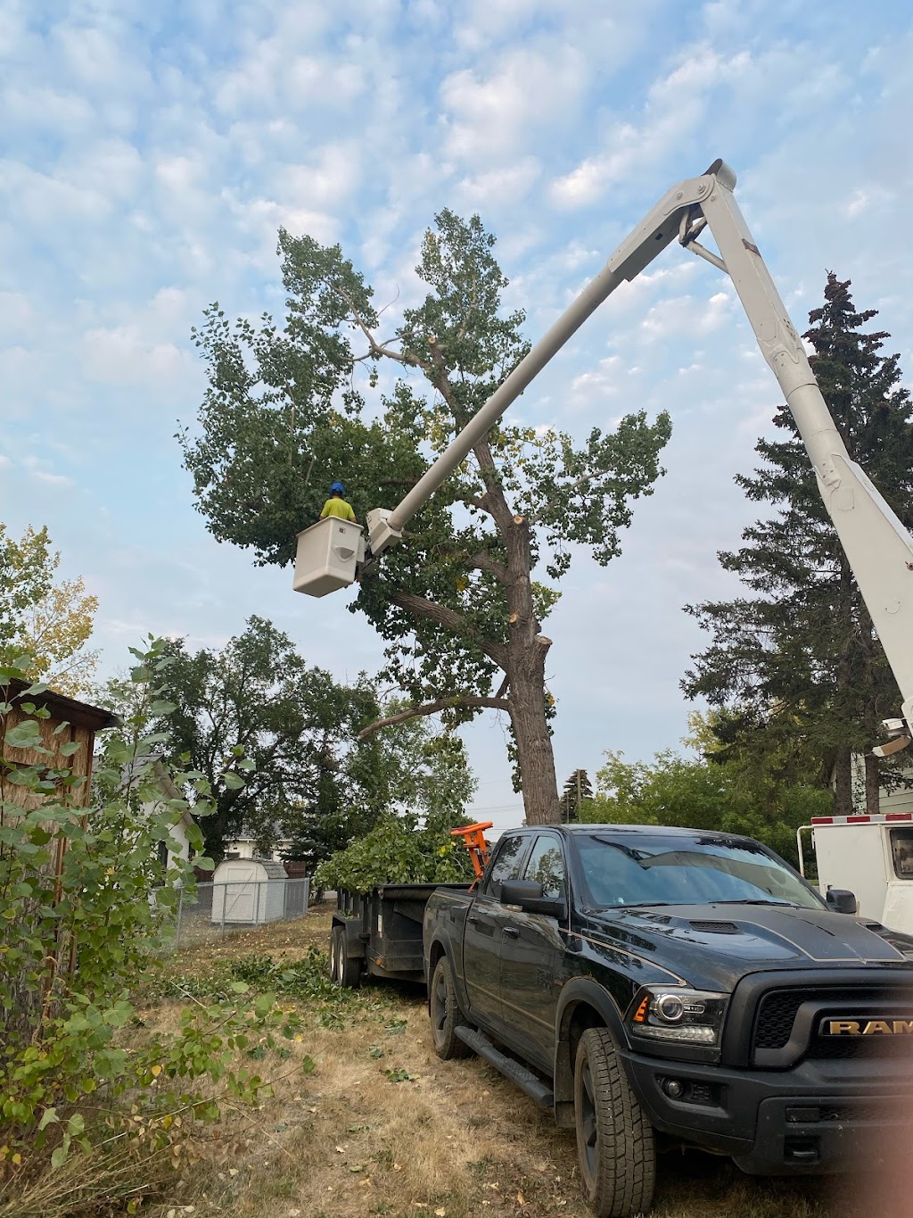 KBG landscaping and tree services | Box 133, 308 7 Ave W, Hanna, AB T0J 1P0, Canada | Phone: (403) 854-1159