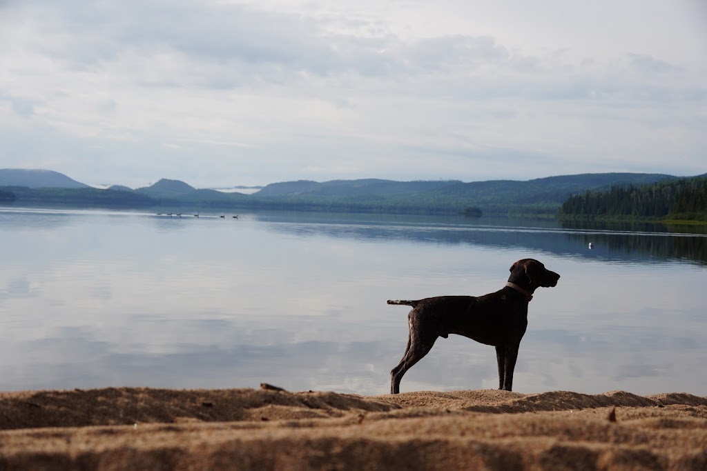Pourvoirie Lac Dégelis - Siège social | 2594 Rang Sainte-Famille, Chicoutimi - Siège Social, Valin Km 117, Activités Sur Les Monts, QC G7H 7W6, Canada | Phone: (418) 973-1249