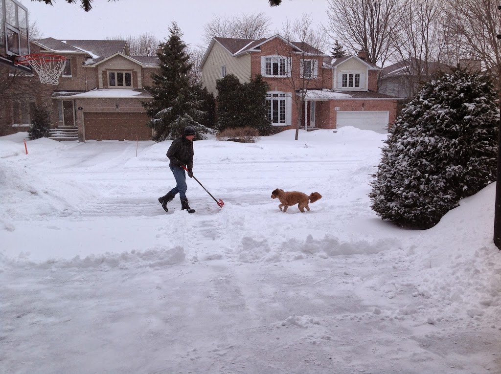 Bridlewood Park | Kanata, ON K2M 2K4, Canada
