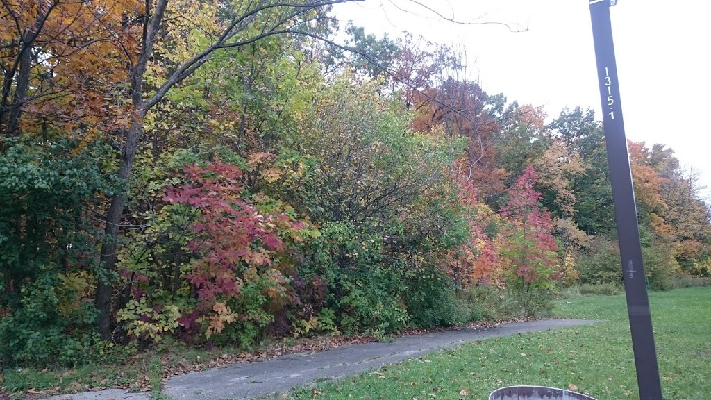 Erin Woods Park | 5303 Erin Mills Pkwy, Mississauga, ON L5N, Canada