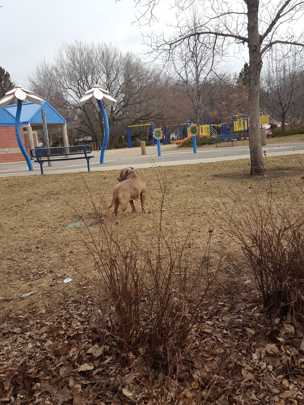 Thornton Park | 0R6 Canada, 118 Isabella St E, Saskatoon, SK S7J 0R6, Canada | Phone: (306) 975-3300