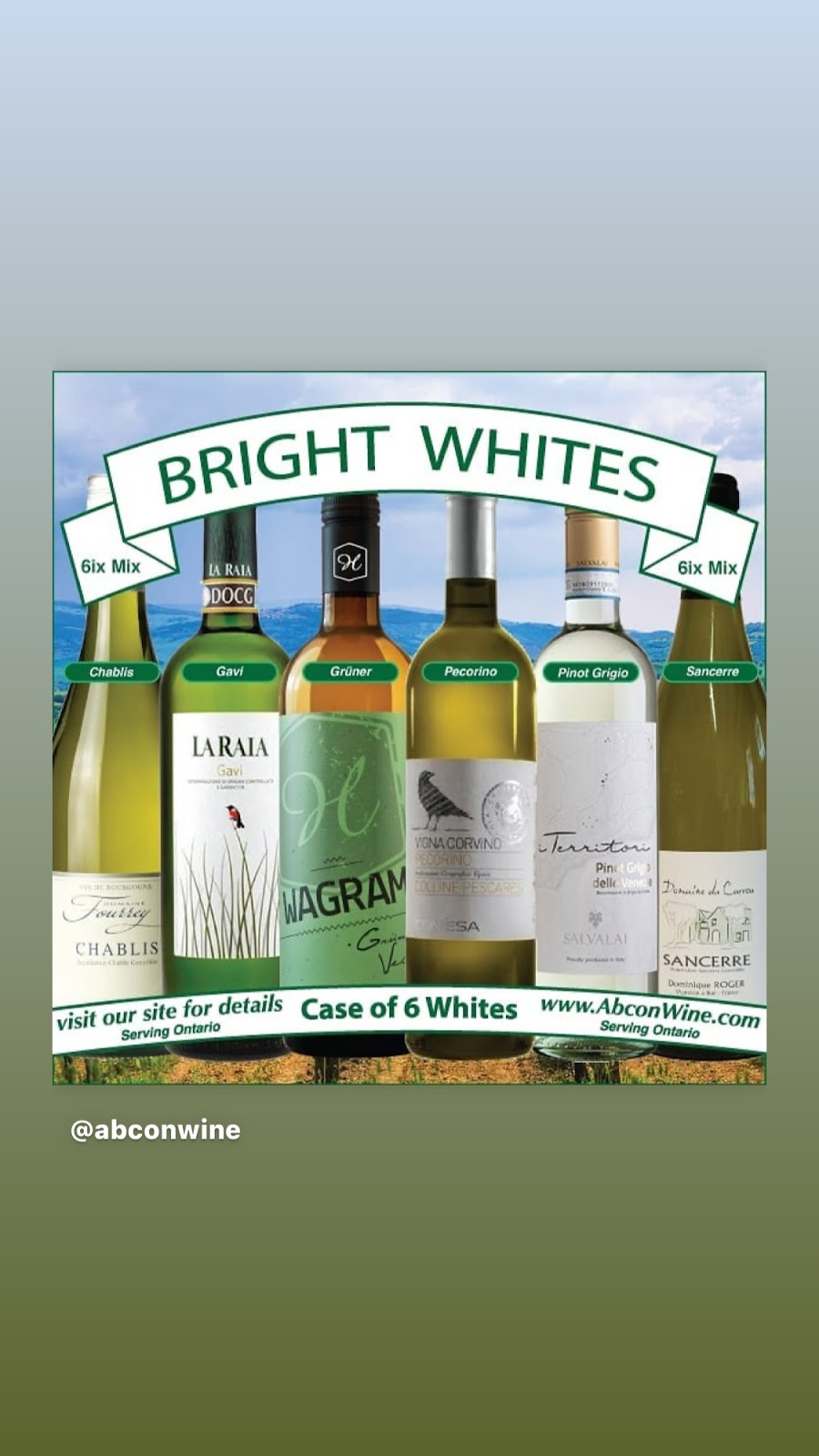 Abcon International Wine Merchants Inc. | 209 Wicksteed Ave SUITE 52, East York, ON M4G 0B1, Canada | Phone: (416) 477-2611