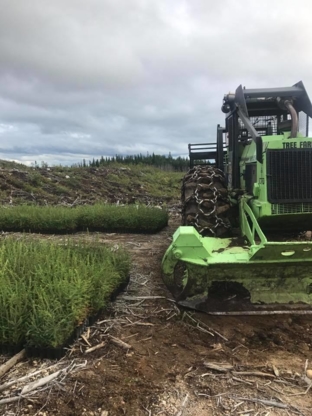 Forestier Franky Langevin | 274 Chemin du 8e-Rang S, Normandin, QC G8M 4P9, Canada | Phone: (418) 618-1175