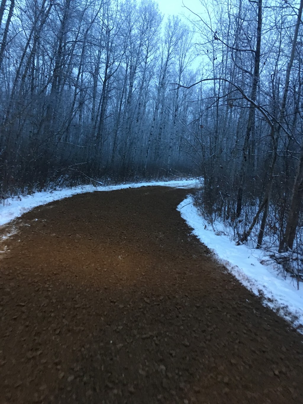 Greencut Landscaping | 5009 2 St, Boyle, AB T0A 0M0, Canada | Phone: (780) 519-0152