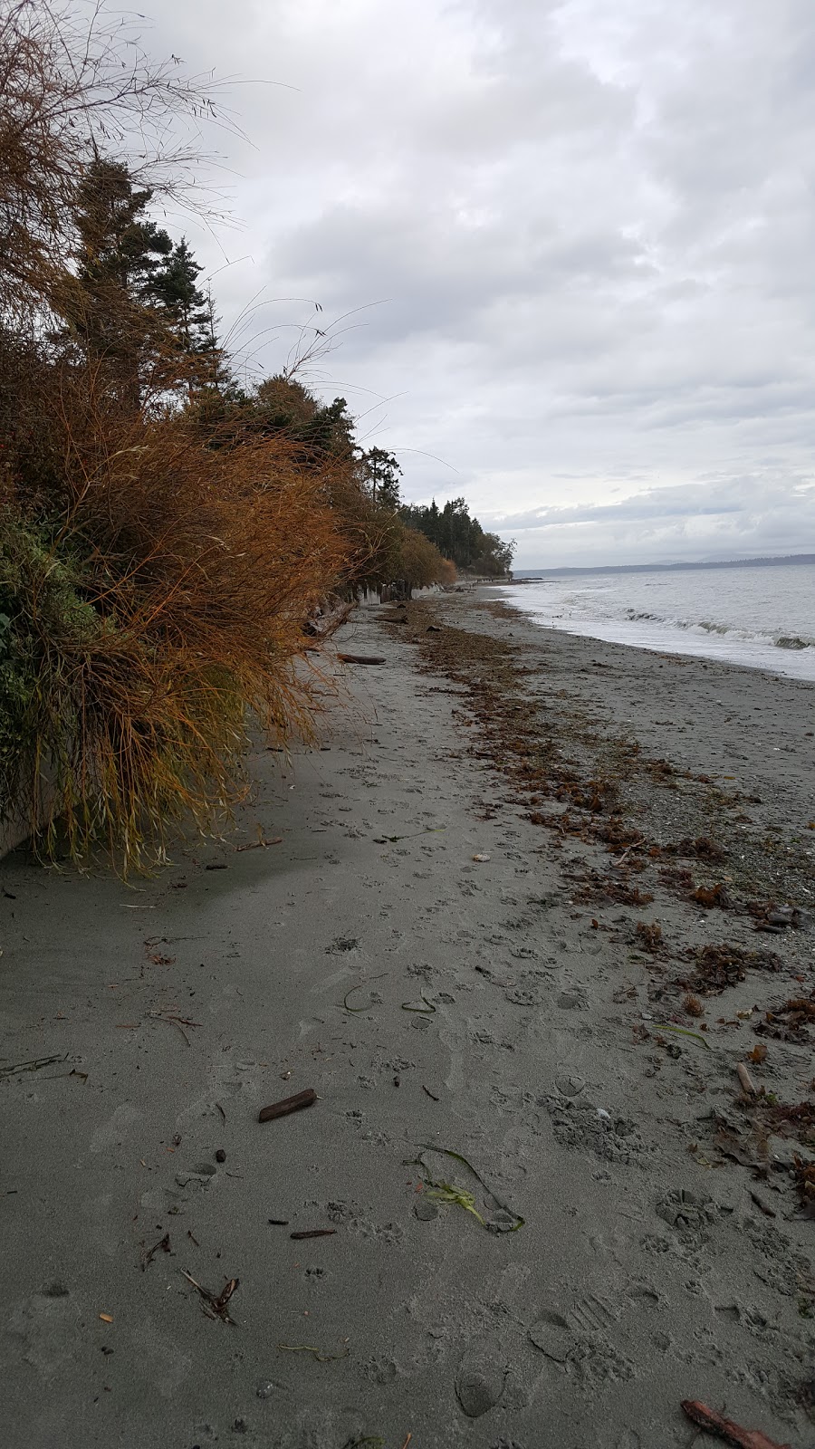 Parker Park | 5405 Parker Ave, Victoria, BC V8Y 2N1, Canada