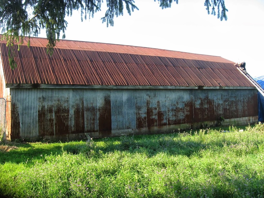 Rons Painting | 596 Black School Rd, Woodville, ON K0M 2T0, Canada | Phone: (866) 248-8486
