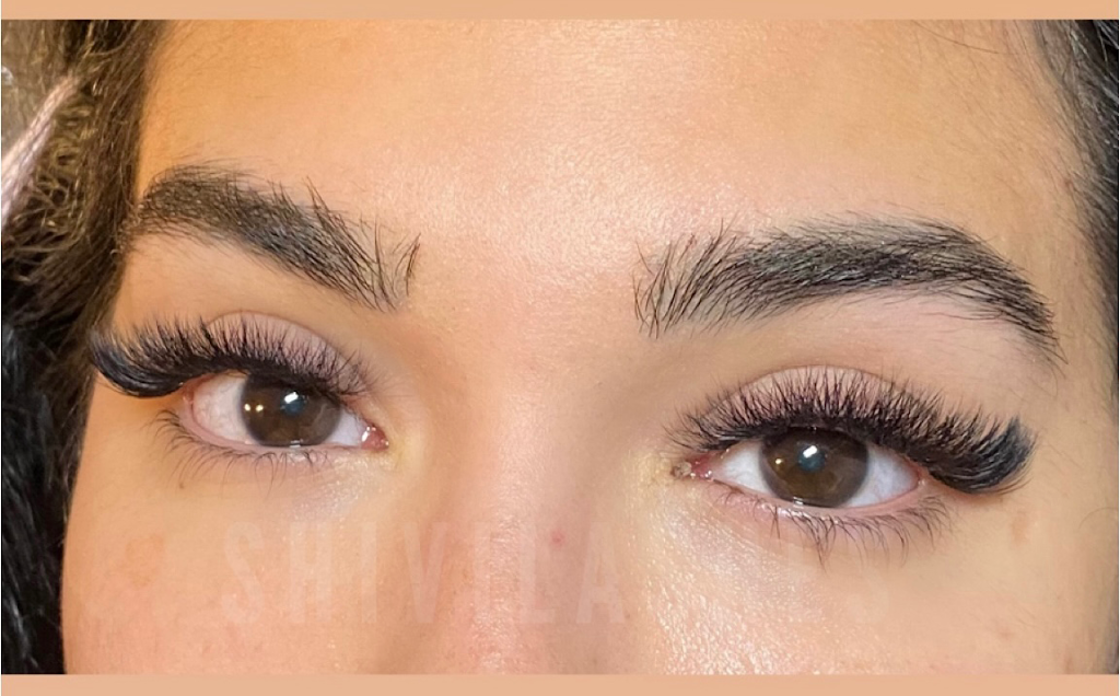 Shivibeautybar | 1408 Magnolia Pl, Coquitlam, BC V3H 4S8, Canada | Phone: (778) 999-9945