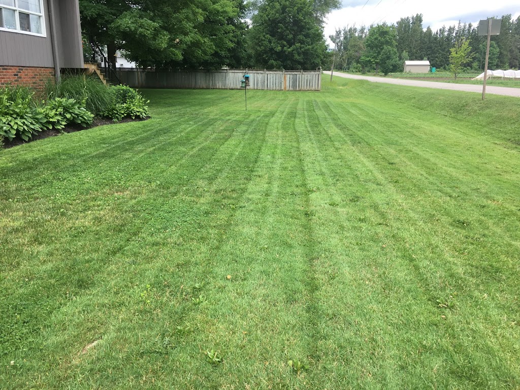JMD Lawn Care | 16 Joanne Crescent, Elora, ON N0B 1S0, Canada | Phone: (437) 241-2127