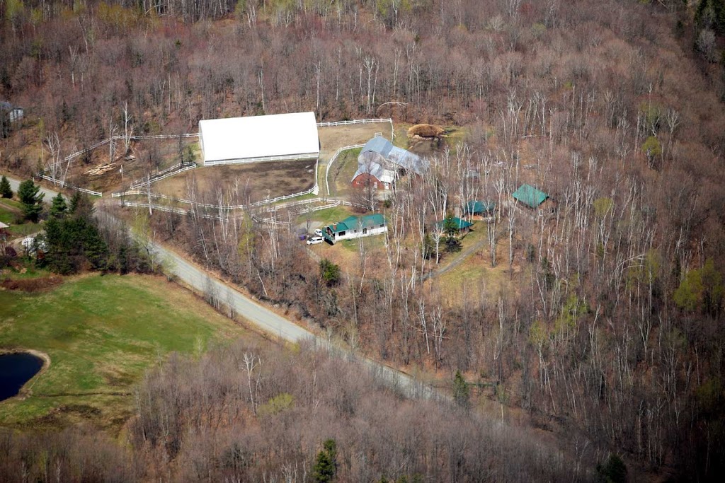Center Riding Jacques Robidas | 32 Chemin McFarland, Hatley, QC J0B 2C0, Canada | Phone: (819) 563-0166