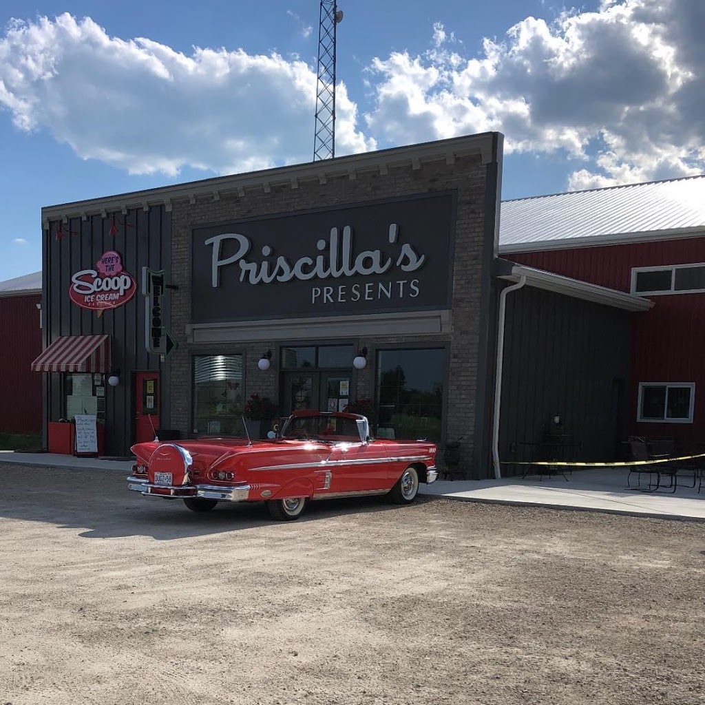 Heres The Scoop | 1195 Iler Rd, Harrow, ON N0R 1G0, Canada | Phone: (519) 738-0001