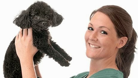 Anima Plus | 5435 Chemin de Chambly, Saint-Hubert, QC J3Y 3P2, Canada | Phone: (450) 443-1461