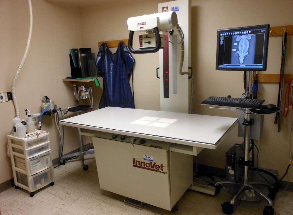 Lancaster Small Animal Hospital: Fetzner Heather A DVM | 5156 Genesee St, Bowmansville, NY 14026, USA | Phone: (716) 681-3033