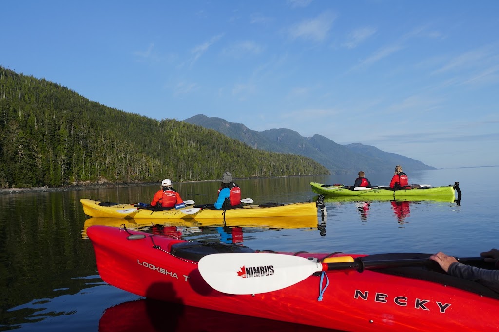 Nimbus Paddles | 1429 W Rd, Heriot Bay, BC V0P 1H0, Canada | Phone: (778) 363-3625