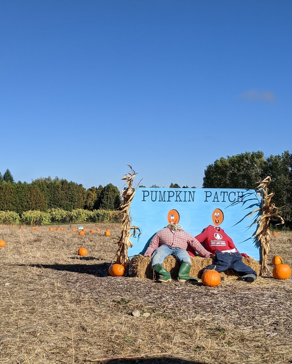 Tree Lane Farms | 13073 Twelve Mile Rd, Ilderton, ON N0M 2A0, Canada | Phone: (519) 666-0154