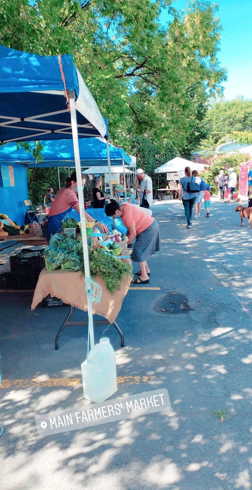 Ottawa Farmers Market: Main | 185 Main St, Ottawa, ON K1S 1C3, Canada | Phone: (613) 417-3595
