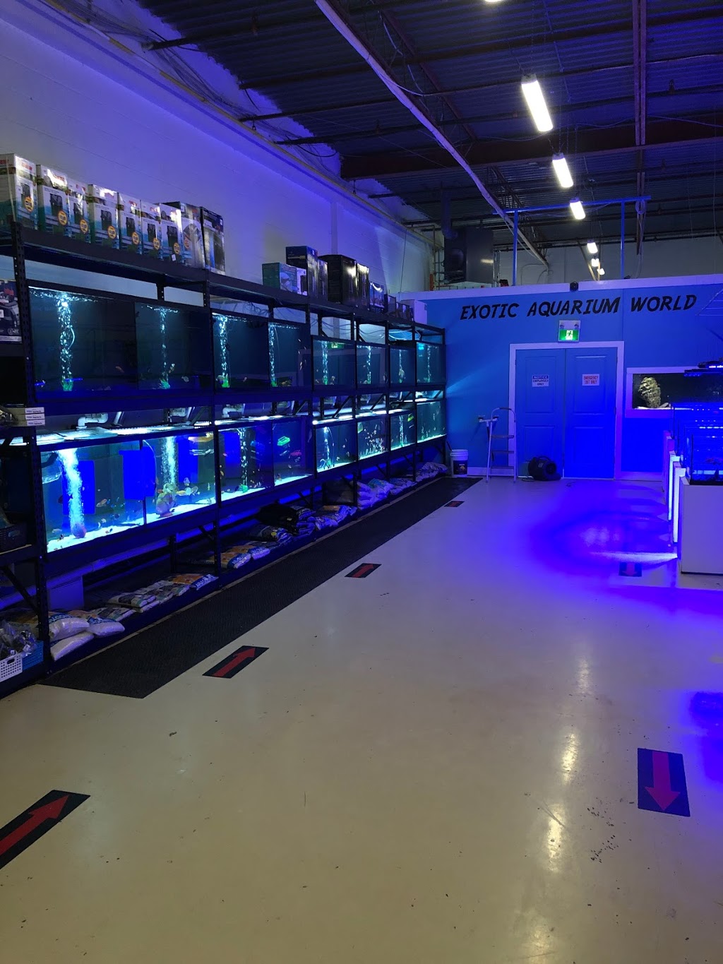 Exotic aquarium world | 5141 Tomken Rd, Mississauga, ON L4W 3W4, Canada | Phone: (905) 624-4474
