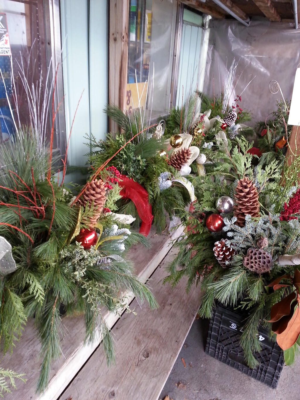 L & L Market | 101 Lancaster St W, Kitchener, ON N2H 4T4, Canada | Phone: (519) 742-2563