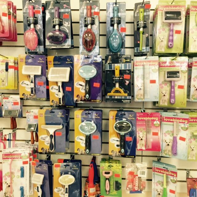 Animalerie Lulu | 5000 Rue de Nanterre, Pierrefonds, QC H9J 1W1, Canada | Phone: (514) 626-4334