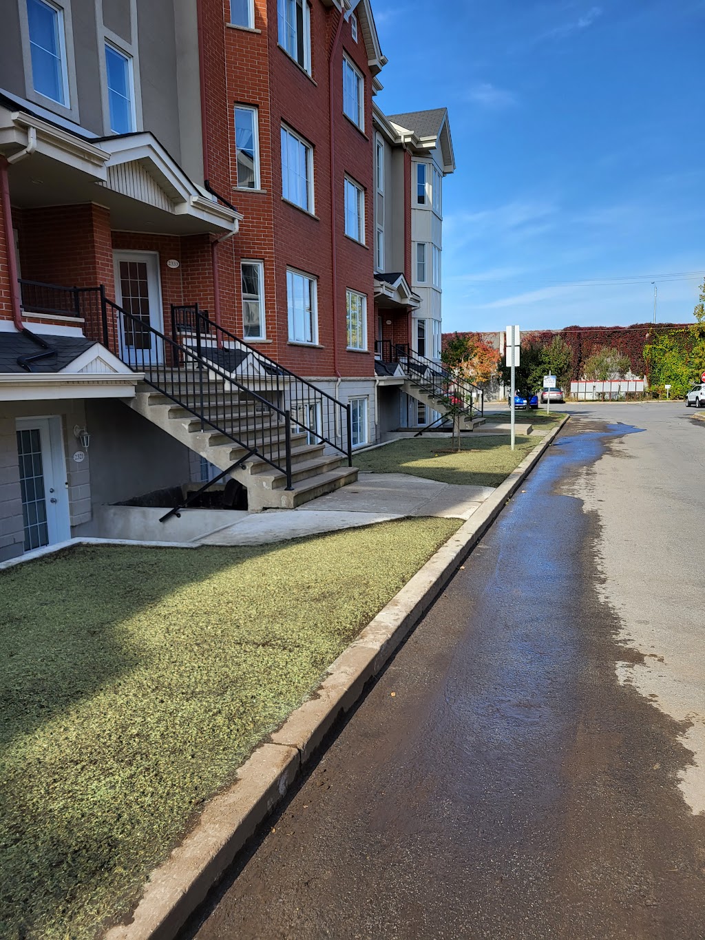 Hydrosemence Ecogazon | 531 Rue des Cèdres, Sainte-Anne-des-Plaines, QC J0N 1H0, Canada | Phone: (514) 973-1706