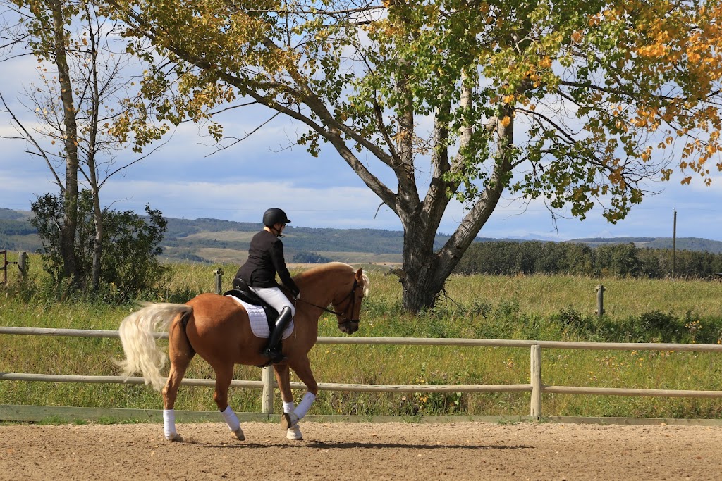 Rocky Mountain Show Jumping | 1405 226 Ave W, De Winton, AB T0L 0X0, Canada | Phone: (403) 256-8652