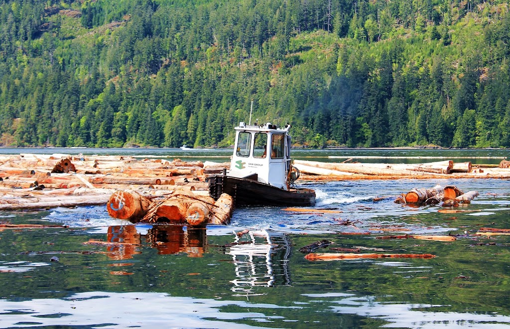 San Forest/San Cedar Direct | 4000 Stamp Ave, Port Alberni, BC V9Y 5J7, Canada | Phone: (604) 515-4999 ext. 6
