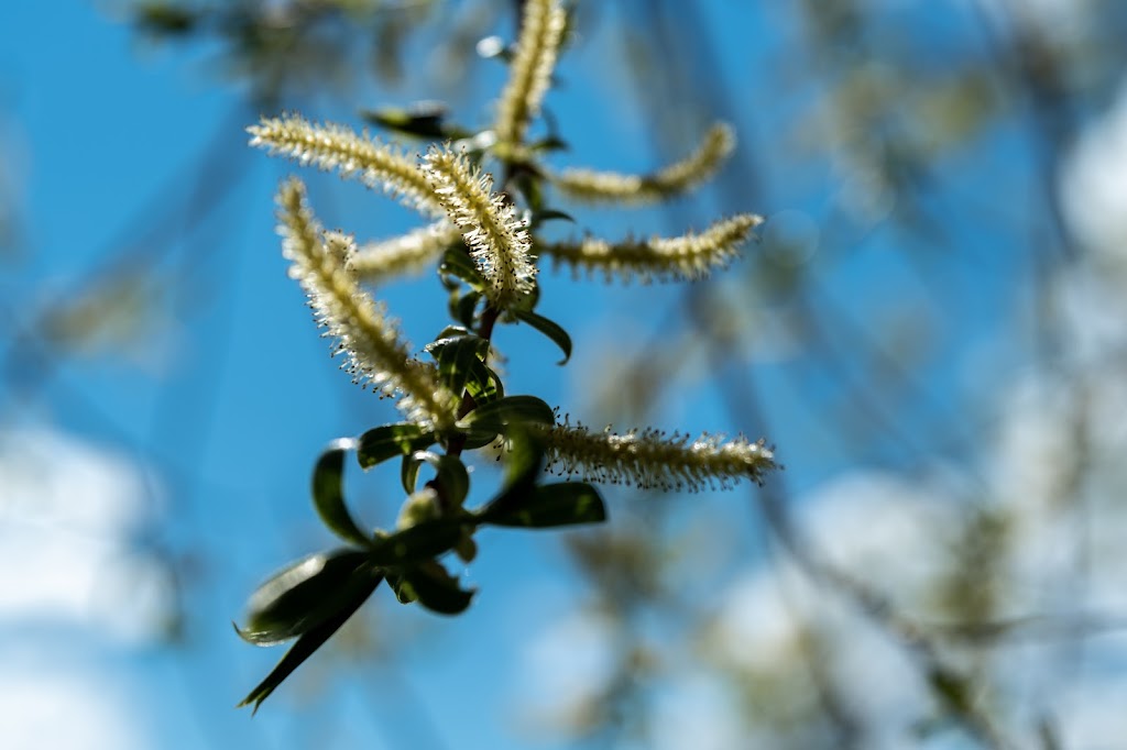 New Spring Counselling | 5738 Robinson Rd, Fernie, BC V0B 1M4, Canada | Phone: (250) 423-9672