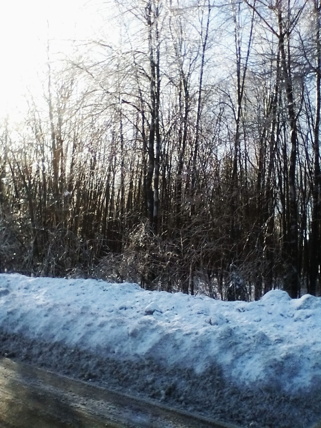 Parc de lHortensia | 1680 Rue de lHortensia, Terrebonne, QC J7M 0B1, Canada | Phone: (450) 961-2001