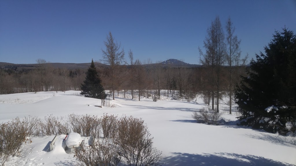 La Chouette À Mansonville | 560 Rte de Mansonville, Mansonville, QC J0E 1X0, Canada | Phone: (450) 292-3020