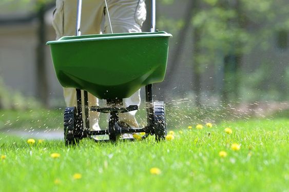HortiCut.com | 14 Rue Racicot, Fassett, QC J0V 1H0, Canada | Phone: (819) 410-0364