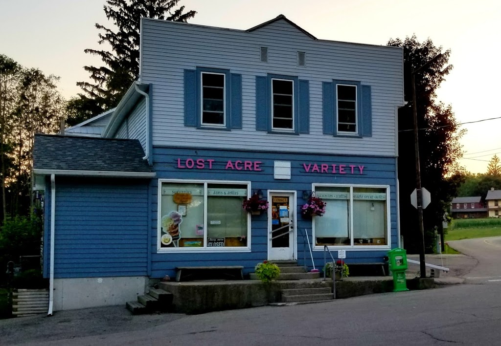 Lost Acre Variety | store | 12 Covered Bridge Dr, West Montrose, ON N0B 2V0, Canada | 5196695689 OR +1 519-669-5689