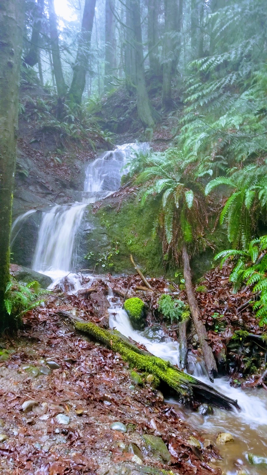 North Chuckanut Mountain Trailhead | 1467 Chuckanut Dr, Bellingham, WA 98229, USA | Phone: (360) 778-5850