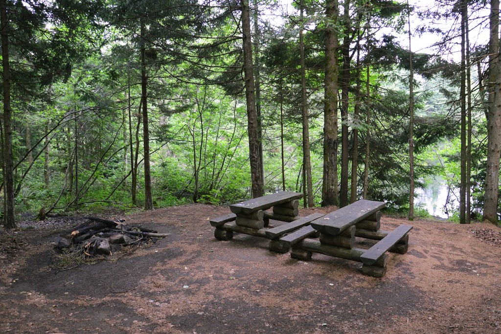 Camping sauvage Domaine Kalina | 6440 Chemin Kalina, Rawdon, QC J0K 1S0, Canada | Phone: (450) 834-8170