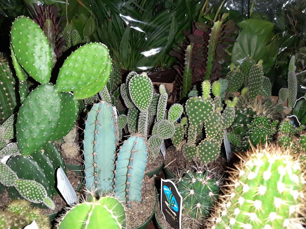 Bayview Flowers Ltd. | 3764 Jordan Rd, Jordan Station, ON L0R 1S0, Canada | Phone: (905) 562-7321