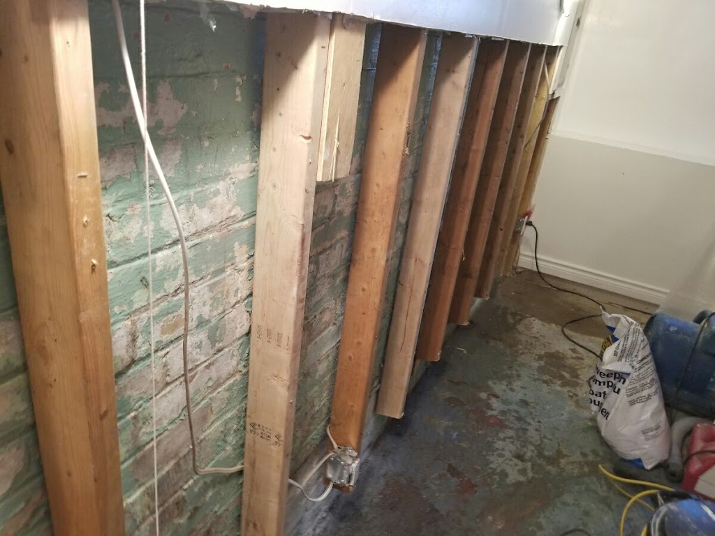 Mold Solutions Canada - Mold Removal Brampton | 6 Lehar Ct, Brampton, ON L6S 5V1, Canada | Phone: (647) 969-3660