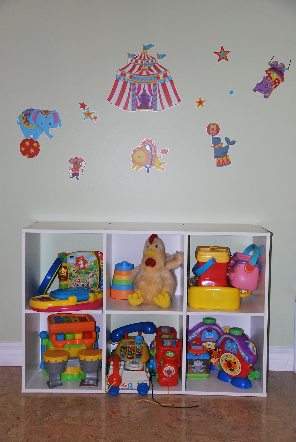 Sunshine Bunnies | 6 Yoon Ct, Timberlea, NS B3T 2K4, Canada | Phone: (902) 414-9995