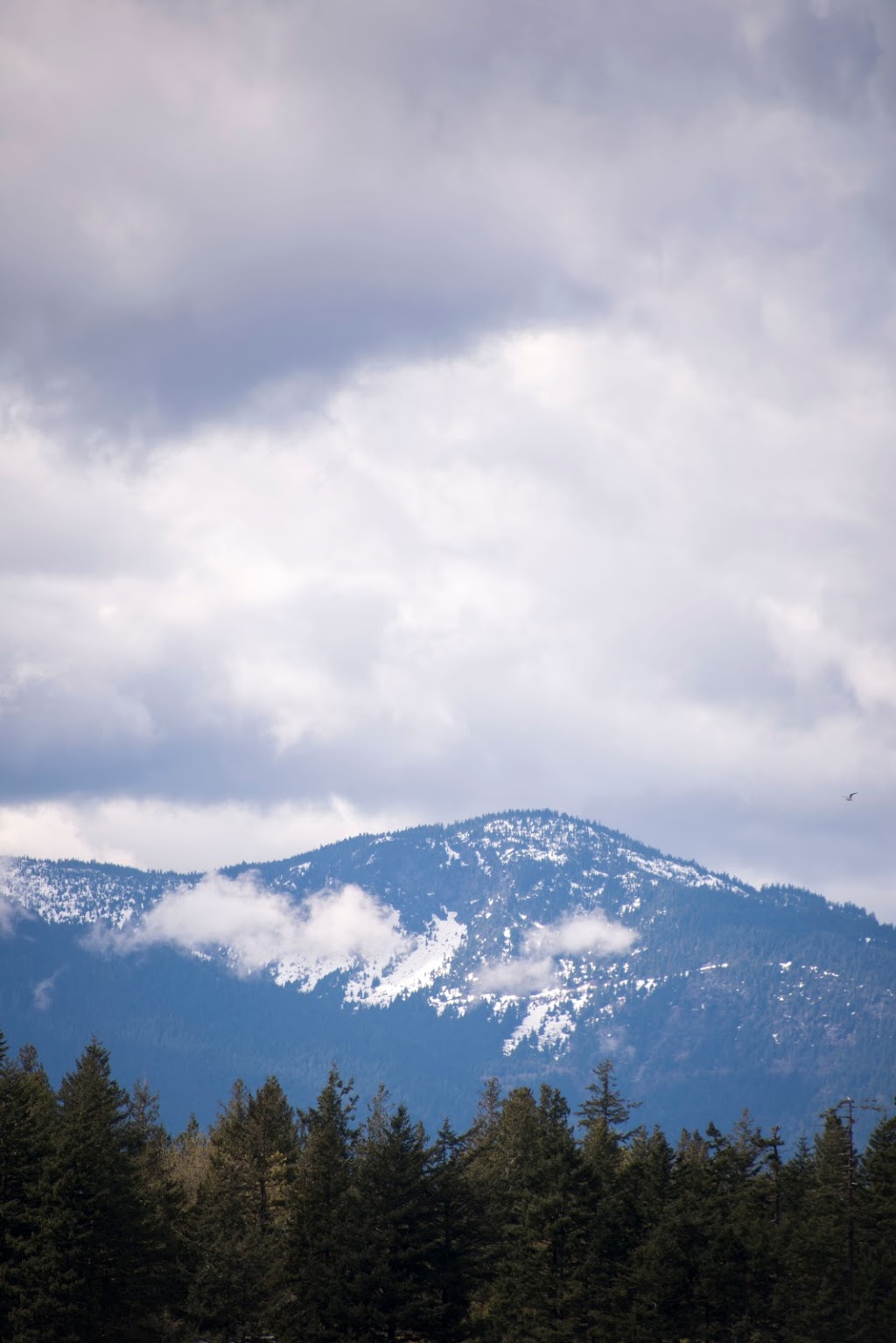 Venture BC | 6665 Royal Ave, West Vancouver, BC V7W 2B8, Canada | Phone: (778) 908-3254