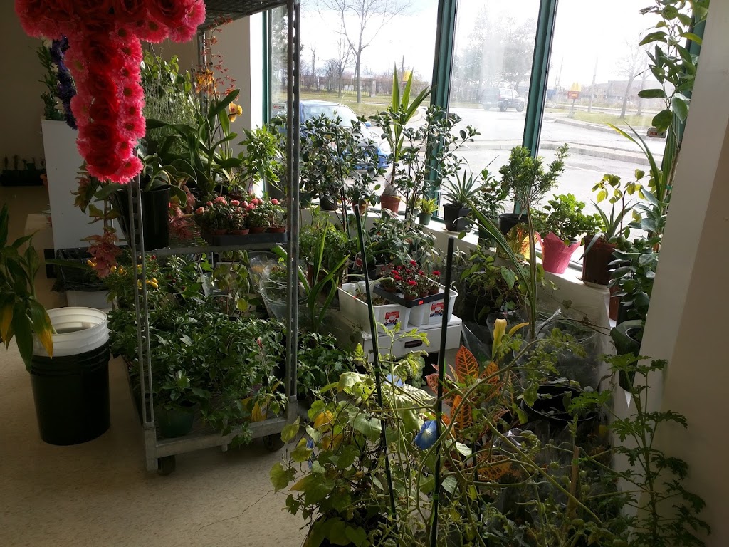 Greystone Walk Garden Centre | Outside of the parking lot, 2 Greystone Walk Dr, Scarborough, ON M1K 5J2, Canada | Phone: (416) 830-8806