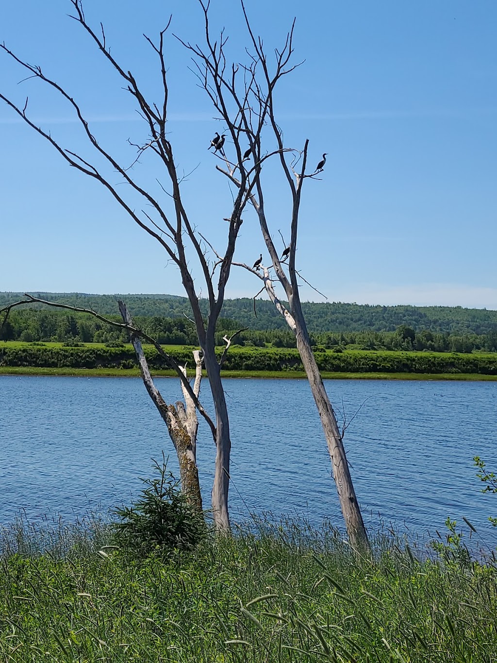 Hebbs Landing Park and Boat Launch | 7464 Nova Scotia Trunk 1, Granville Ferry, NS B0S 1K0, Canada | Phone: (902) 532-2331
