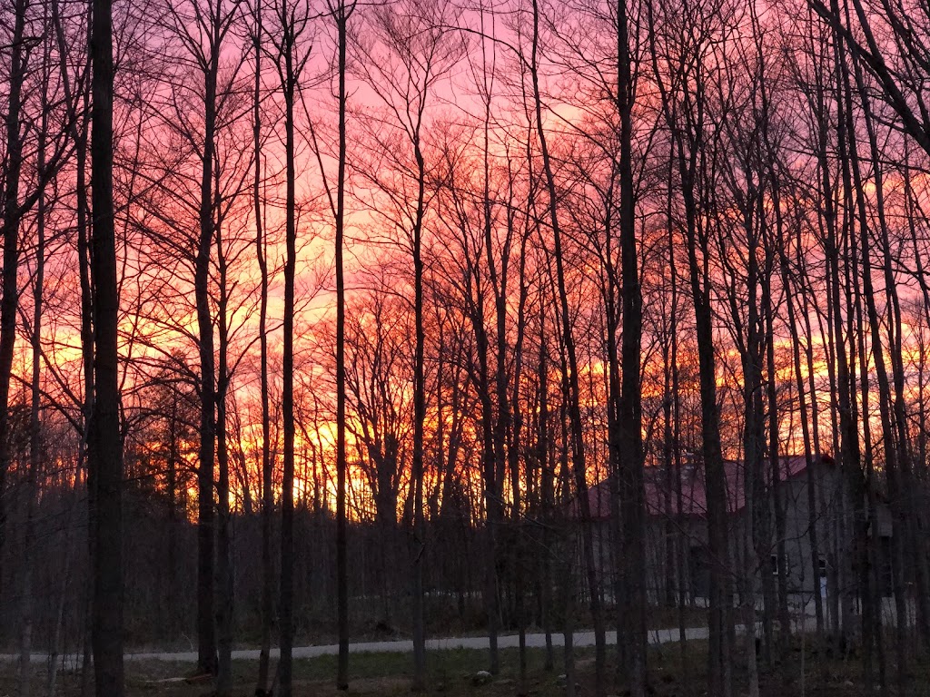 Spirit Rock Maple | 1019 Bruce County Rd 9, Wiarton, ON N0H 2T0, Canada | Phone: (519) 216-4241