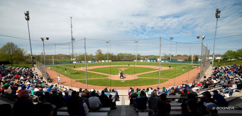 Welland Jackfish Baseball Club | 90 Quaker Rd, Welland, ON L3C 7K6, Canada | Phone: (905) 735-9834