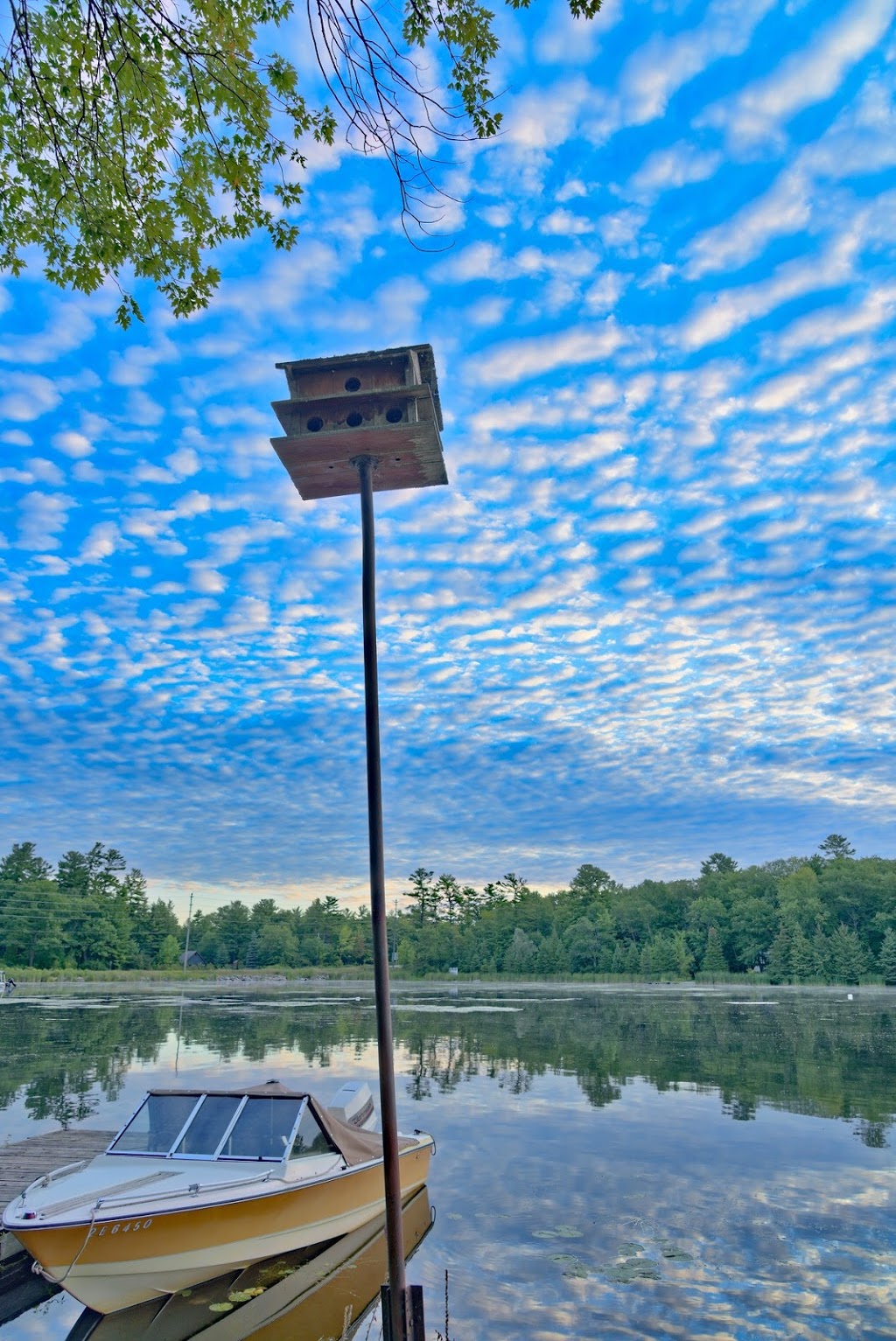 Sunrise Resort | 873 Sunrise Ct, Buckhorn, ON K0L 1J0, Canada | Phone: (705) 657-8713