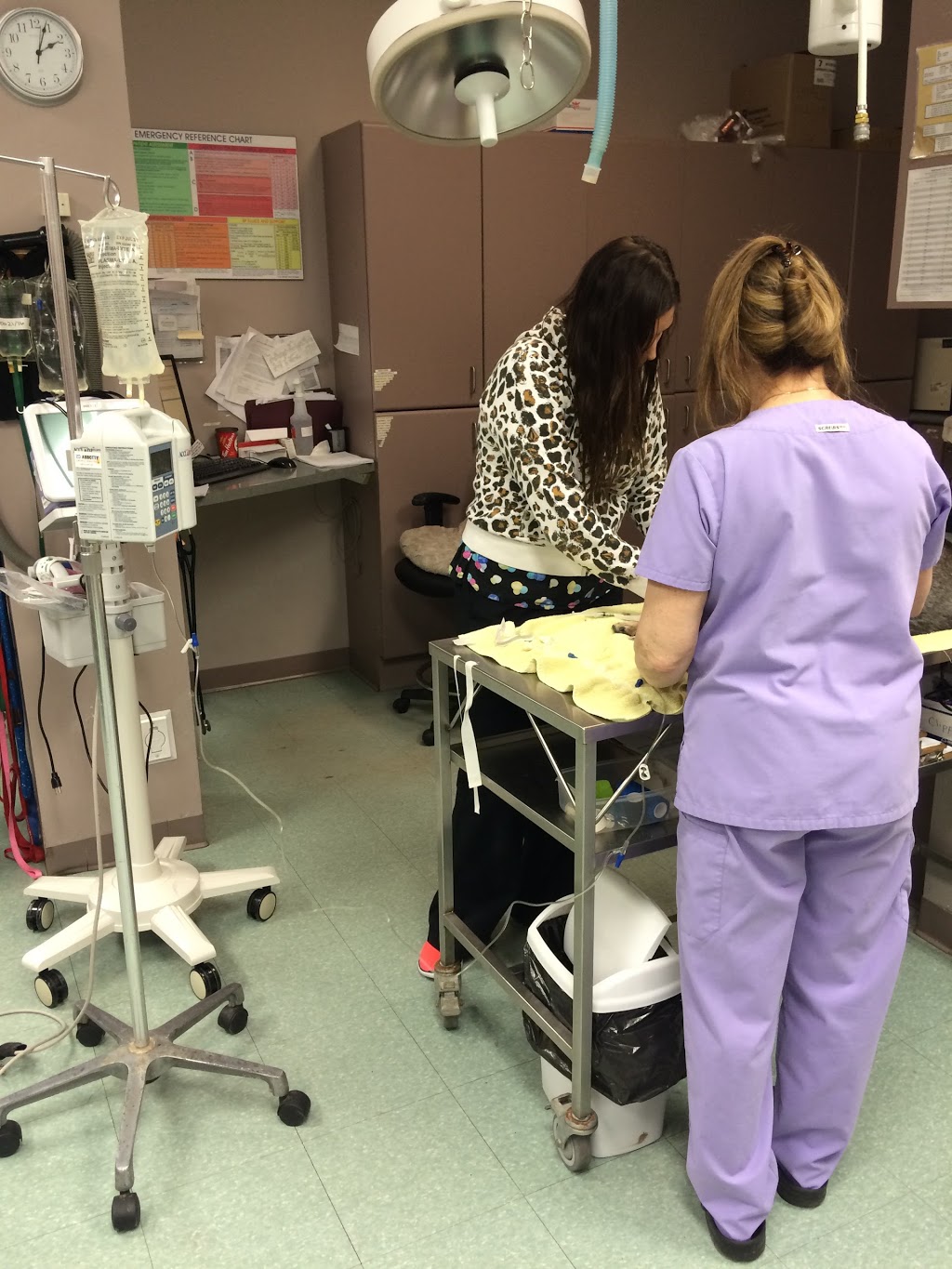 Burlington Veterinary Emergency & Referral Hospital | 775 Woodview Rd, Burlington, ON L7N 3S1, Canada | Phone: (905) 637-8111