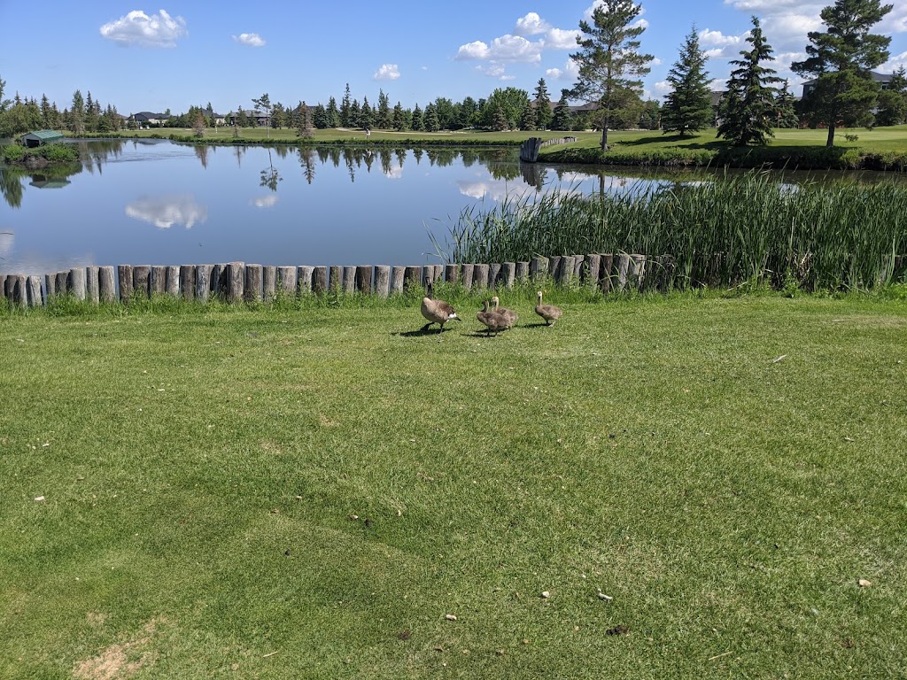 Kingswood Golf and Country Club | 28 MB-247, La Salle, MB R0G 1B0, Canada | Phone: (204) 736-4079