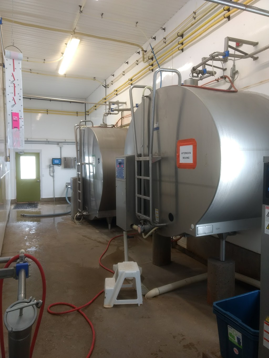 London Dairy Farms | 3700 Old Victoria Rd, London, ON N6N 1R2, Canada | Phone: (519) 644-2697
