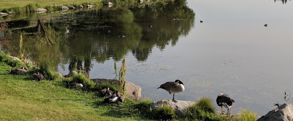 Harvest Hills Park | Harvest Hills, Calgary, AB T3K, Canada
