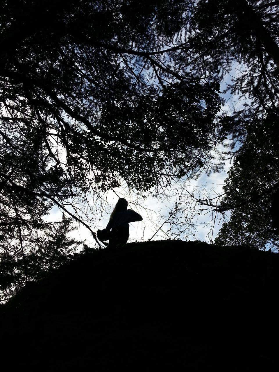Metchosin Wilderness Park | 930 Clapham Dr, Victoria, BC V9C 4G5, Canada