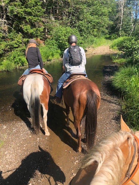 Spirit Reins Ranch | 432 Prospect Rd, Parrsboro, NS B0M 1S0, Canada | Phone: (902) 254-3138