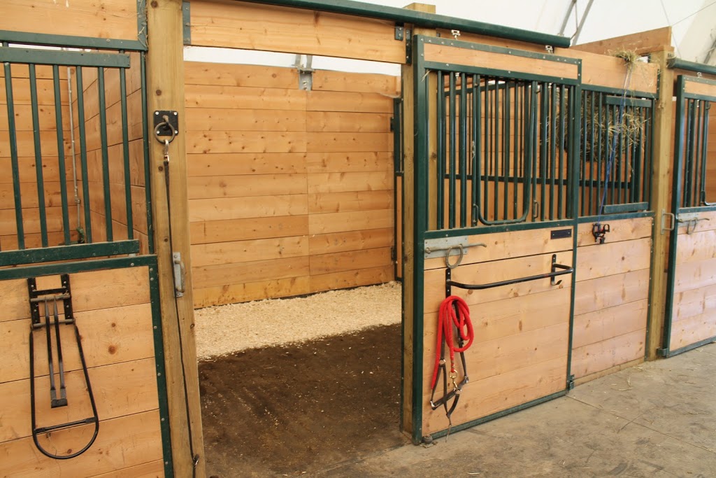El Rancho Equestrian | 1922 County Rd 92, Elmvale, ON L0L 1P0, Canada | Phone: (705) 305-5068