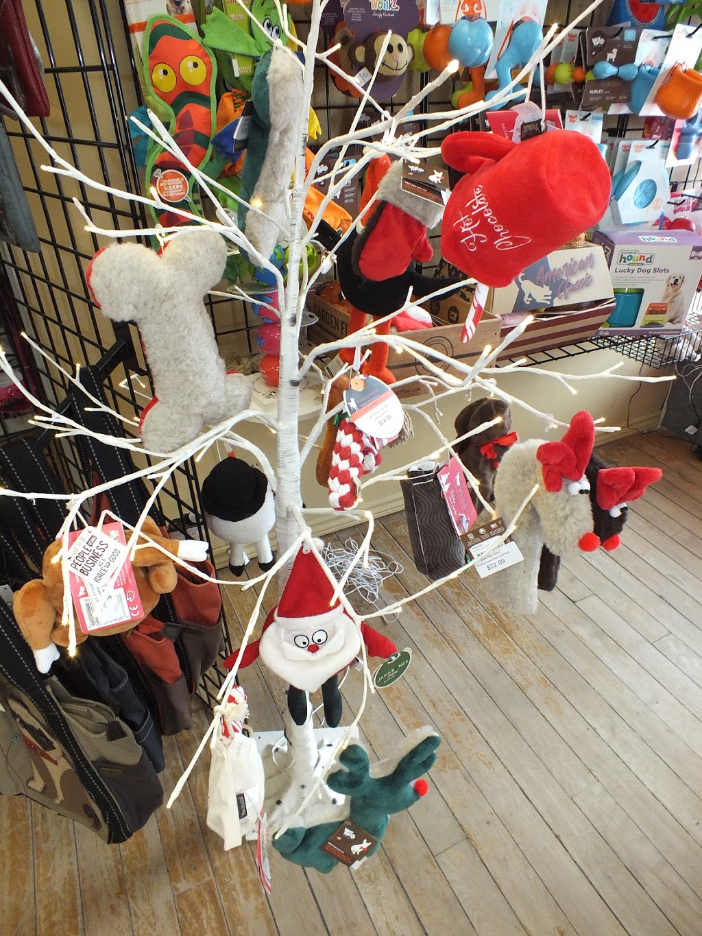 Oh My Fur and Whiskers! | 257 Talbot St, St Thomas, ON N5P 1B3, Canada | Phone: (519) 207-7387